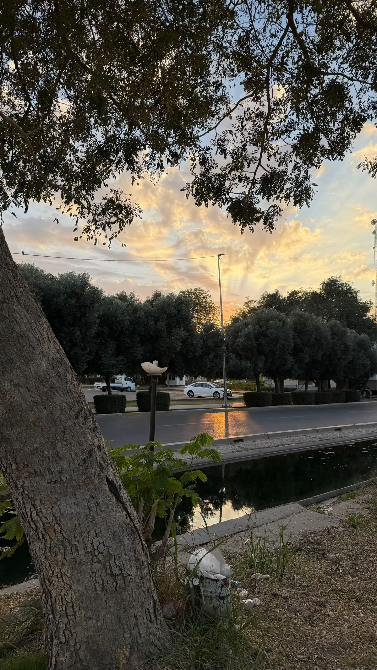 #photography #fyp #iraq #university_of_baghdad 