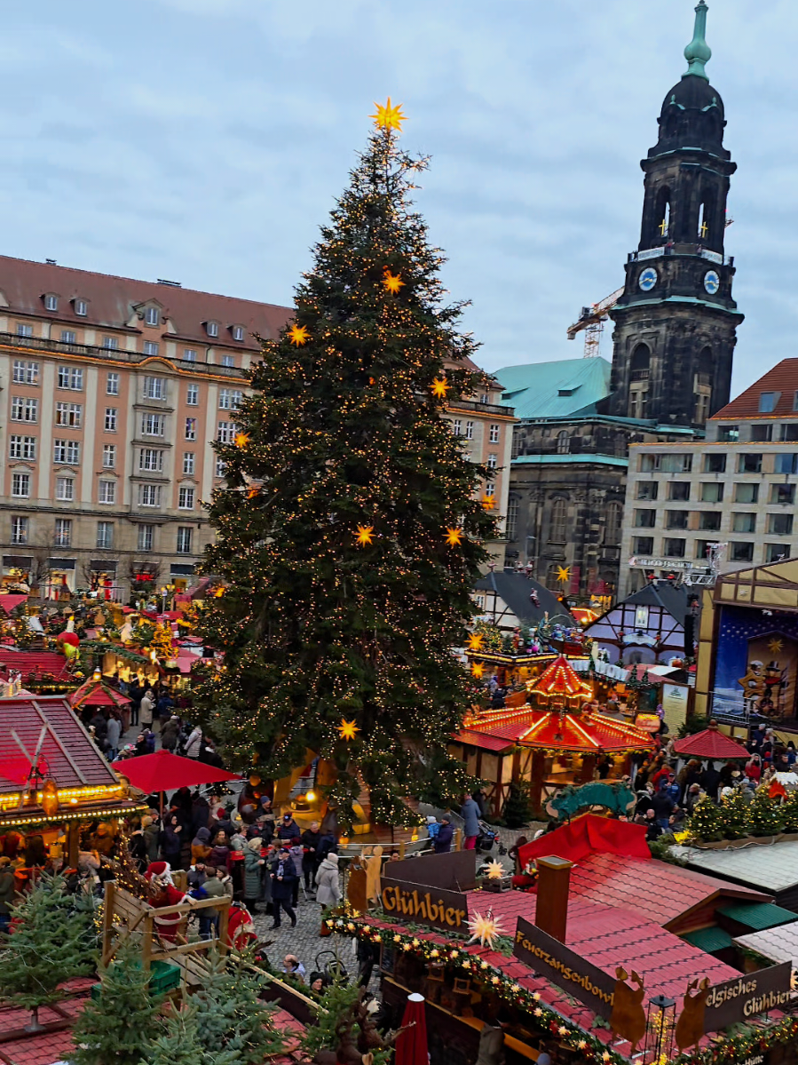 ✨ Dresdner Striezelmarkt — найстаріша різдвяна ярмарка Саксонії (з 1434 року!) 🎄 Тут народився легендарний штоллен, сяє гігантська різдвяна піраміда та панує атмосфера справжнього свята. Столітні традиції + вогники + аромат глінтвейну — саме тут відчуваєш, як оживає Різдво ✨ #Dresden #Striezelmarkt #ChristmasMarket #GermanyTravel #Різдво 