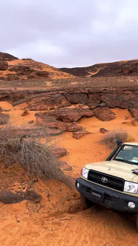 #الزنتان_تااغرمين_الوااشين_🔥🦅 #اوباري_سبها_مرزق_قطرون_صحراء_ليبيا_التبو #ليبيا🇱🇾 #الرقم_الصعب🔥👑 #الحدود_الليبية_الجزائرية 