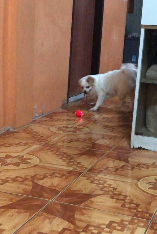 di naman halatang gustong gusto laruan nya 😁