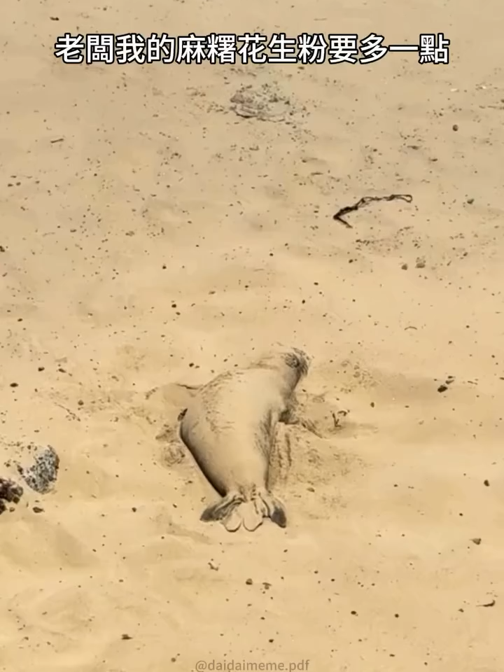 看得我好想吃  #舒服 #慵懶 #麻糬控 #花生粉麻糬