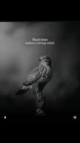 #fyppppppppppppppppppppppp #viral #trending #foryou #foryoupage 