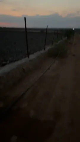 #فيرو #fyp #قصيد #شيلات 