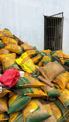 මිනිස්සුන්ට කන්න තිබුන හාල් 😭 #news #sadstory #breakinnews #srilanka 