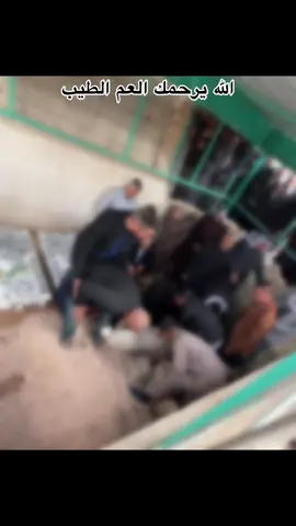 #CapCut الله يرحمك سيد فليح 