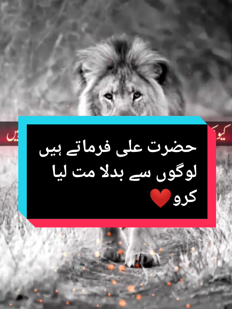 Hazrat Ali farmate hain logon say badla mat liya karo#unfreezemyaccount #molaali #alilife #aliqoutes #motivacion 