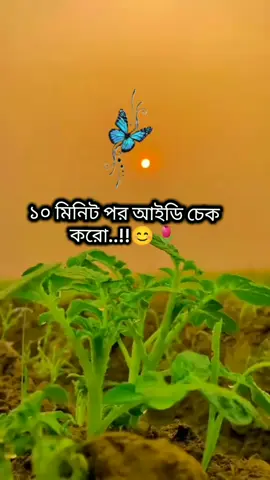 #ইনশাআল্লাহ_ভাইরাল_হবে🤲🤲🤲🤲 #তিনবার_কপি_লিংক_করে🥀দেন🙏প্লিজ😭🤕প্লিজ😭 #বলে_যেও_কিন্তু_😔😔 @MrBeast @Omor Always On Fire @TikTok Bangladesh 