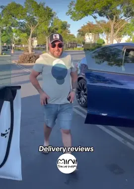 Delivery reviews #miniteacuppuppies #mini_teacup_puppies #fyp #viral #teacuppuppytiktok 