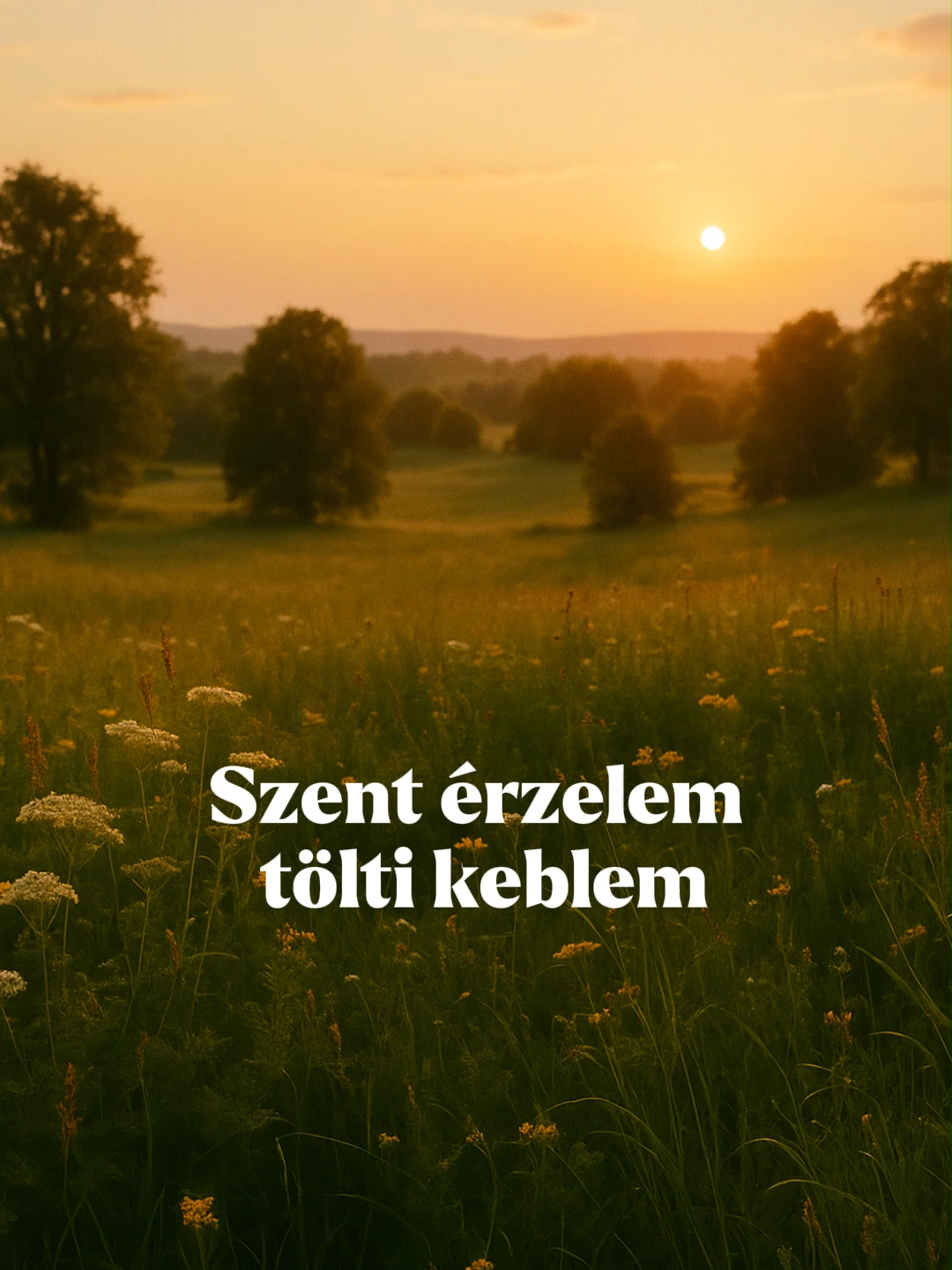 Sokszor, különböző körülmények között rengeteg érzelem tombolhat bennünk. Ez az ének fenkölt érzéseket képes bennünk alapozni, címe 