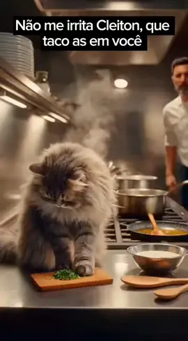 Não me irrita Cleiton 🐈😡😡 #videoengracado #humortiktok #comedia #vídeoengraçado #animaisengraçados 