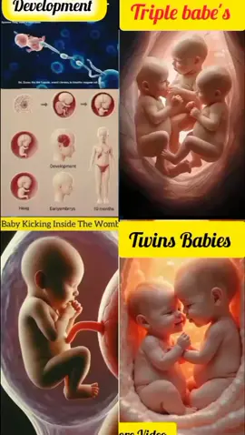 Babeis Development in Womb #foryoupage #pregnancyjourny #pregnancylife #Cutebabyinwomb #dream100kfollowers 