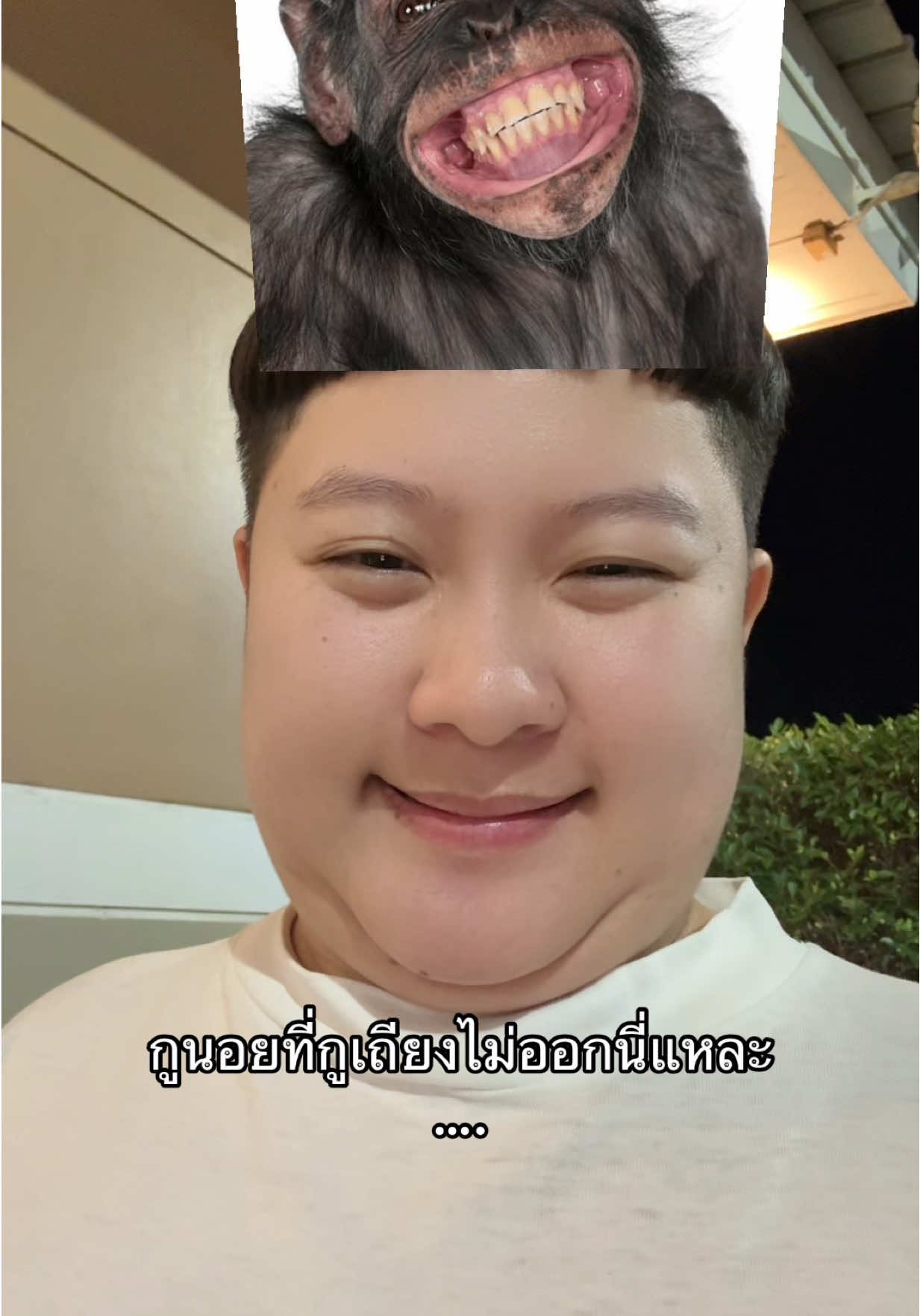 นอยอ้าาาาาา 