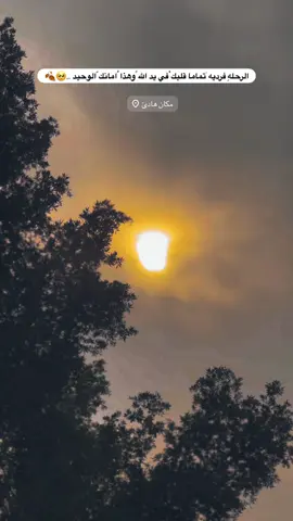 #جزء 430 |#تصويري_احترافي_الاجواء👌🏻🕊 #عباراتكم_الفخمه📿📌 #لايك_متابعه_اكسبلور_لو_ #قناتي_تليجرام_بالبايو💕🦋 