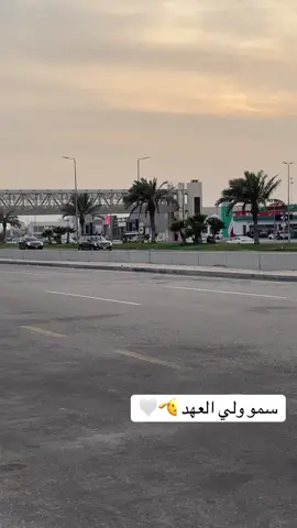 منور الخبر سيدي ولي العهد أبو سلمان #ولي_العهد #محمد_بن_سلمان_حبيب_الشعب #الخبر  العزيزية #الشرقيه #furyou 🤍💚