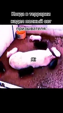 #ТЕРАРИЯ #призыватель  #Террария #рекомендации #on #fyp #rec #хахахаха  БАЗА согласитесь 🫣