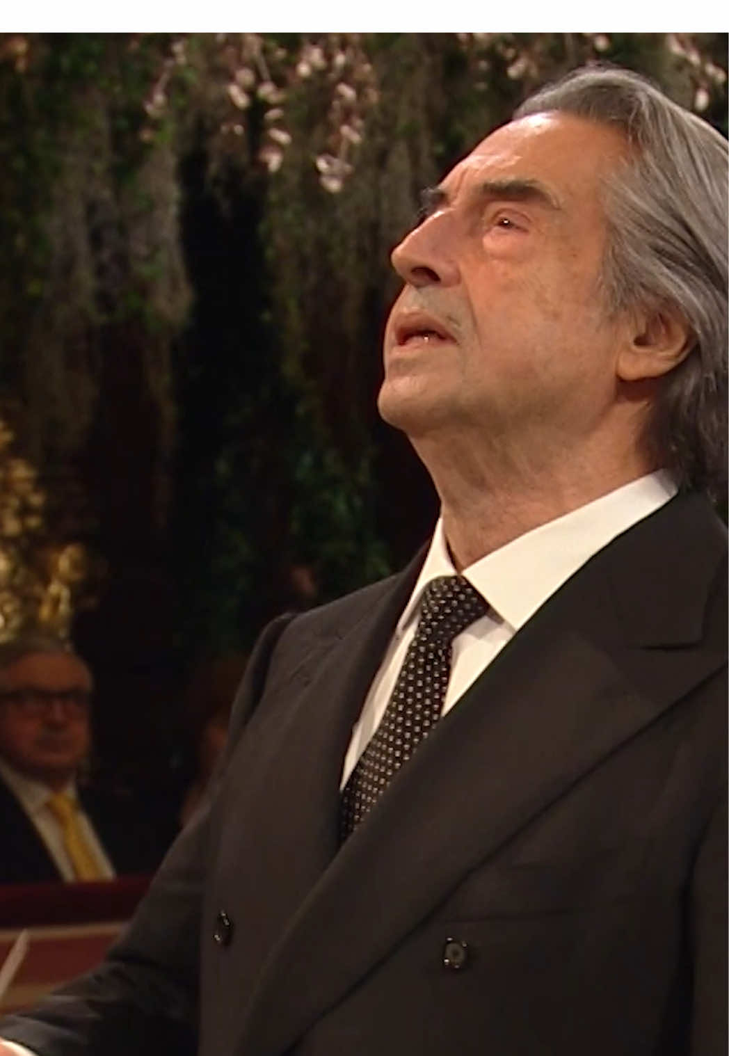 only 4 more weeks until the New Year’s Concert 2026!✨#classicalmusic #nyc #vienna #orchestra 