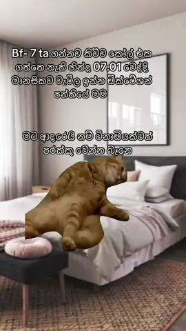 Mention 😂🩷  #Meme #MemeCut #funny #memestiktok #sinhala #memepage 
