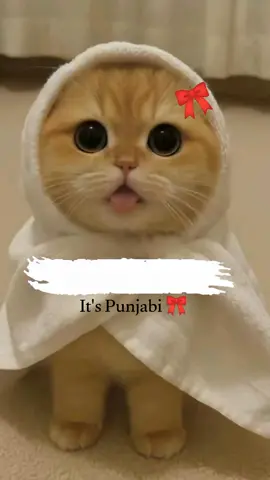 😂👻🤣🙈🤭 #viralmyaccount #foryou_page #foryou_page #funnyvideos #😂😂😂 