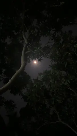 নক্ষত্র? চাঁদ কিন্তু দূর থেকে সুন্দর! কাছে গিয়ে দেখো চাঁদেও কলঙ্কের দাগ..! ❤️‍🩹   #fyp #foryou #moon_lover_29 #videography #moon 