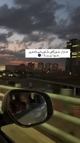 #الحمدلله_دائماً_وابداً #allah❤️ #cat 