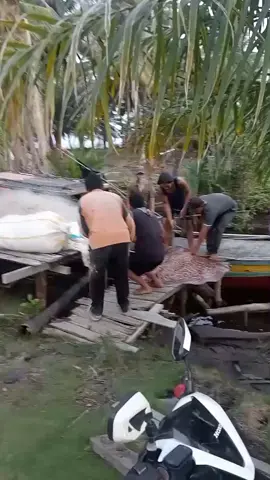 🫣🫣🫣🫣🫣🫣🫣 #fypシ #fyppppppppppppppppppppppp #bandarlaksmanabengkalis #riau_pekanbaru #nelayan 
