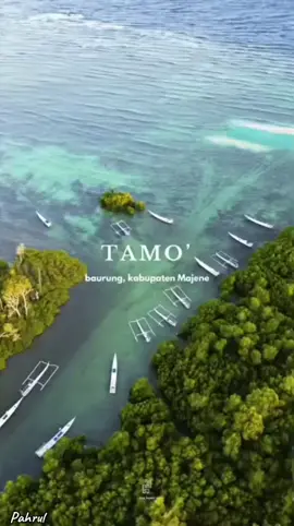 Mari meramaikan 🫶👏🫶#fyp#pestanelayan #tamo #majenesulbar #masukberanda 