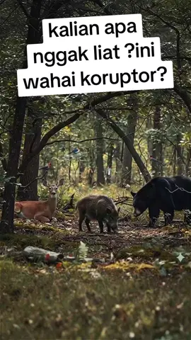 nasib hewan ini kemana🤕😭😭?#banjirsumatra #bencanaalam #fyppppppppppppppppppppppp,#banjirsibolga.