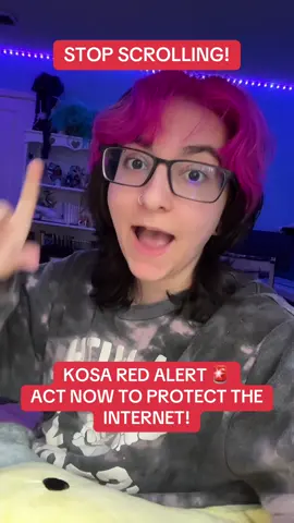 CALL. CALL. CALL. And a big thank you to @alpha for always keeping us updated about these bills. Her tools and scripts have been so helpful in this fight. 💜 #stopkosa #anticensorship #ao3 #screenact 