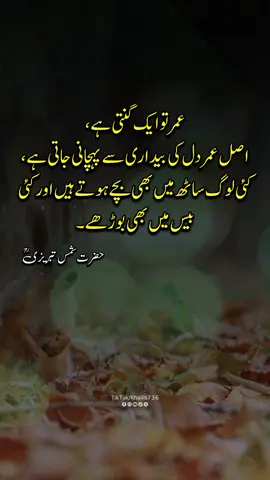 #sufilines  #FYP  #rumi  #urduline  #deepquotes 