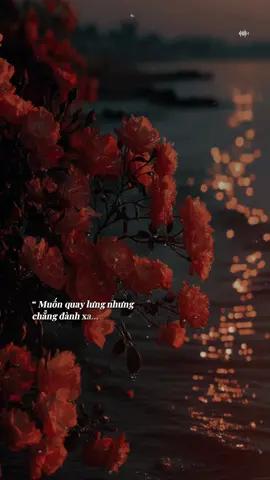 Tình đôi lúc khiến ta gục ngã… #tramnhachay_0203 #BKmuzic  #teddyentertainment 