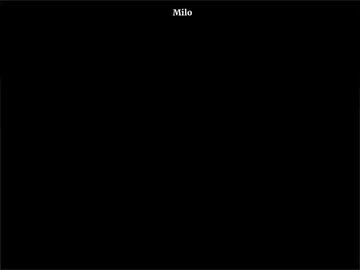 ညီကိုတွေ #mgmilo #mgmilo_2009 #xyzabc #lrycs #fyp