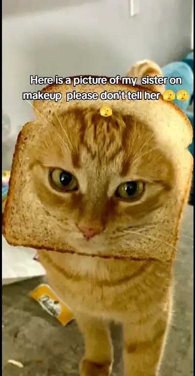 #creatorsearchinsights 