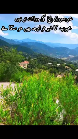 #❣️ #foryoupage #foryou #creatorsearchinsights 