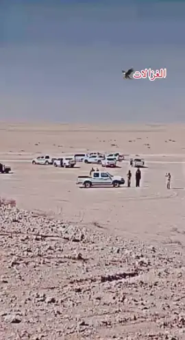 حيدر الحجي #الغزالات #الخرشان #بني صخر#حمر النواظر ديره الغزالات باديه النجف #