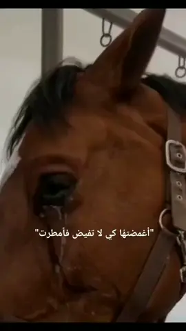 أغمضتها كي لا تفيض فأمطرت#followers➕ #ذكريات_موجعة #ترند_الخيل #explore #tiktok 