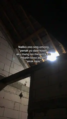 #fyp #jowostory #jowopride #jowopridestory 