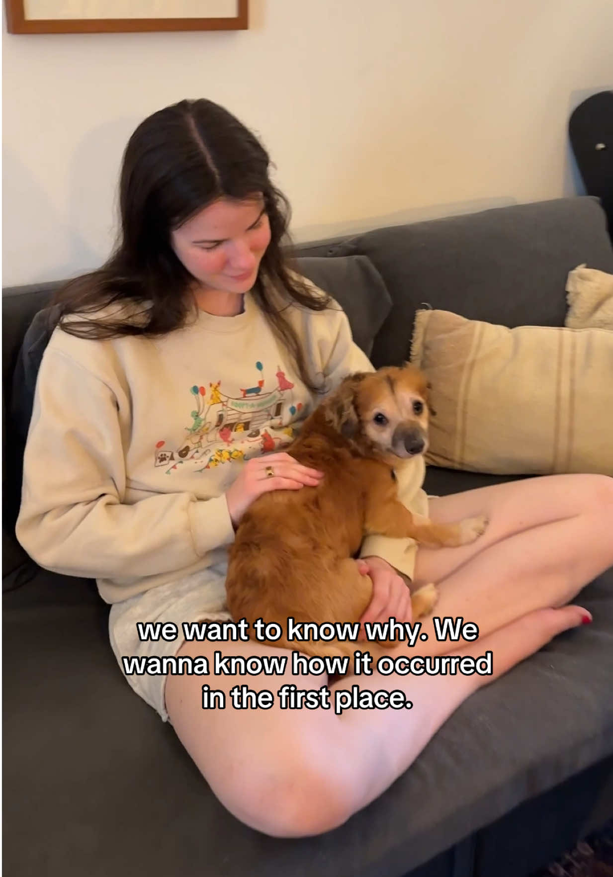 If you’d like to support my work this Giving Tuesday, please consider a donation to @Muddy Paws Rescue or the @Animal Care Centers of NYC ❤️