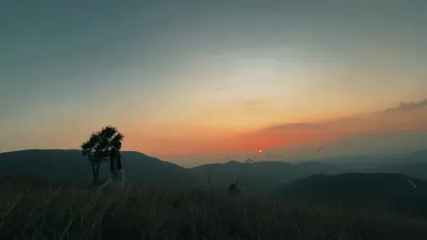 “Học đàn không phải để người ta khen, mà để mình nghe được điều mình muốn nói. Bình yên cũng vậy không phải chờ cuộc đời yên tĩnh, mà là giữa bao ồn ào vẫn giữ được nhịp sống của riêng mình” #trending #fyp #viral 