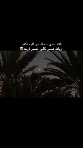 يارب 🥹تصويري 📸🌚#creatorsearchinsights2025view🙌 #تصويري📸اكسبلوور #اكسبلور؟؟🙂 #مالي_خلق_احط_هاشتاقات🦦✨ 