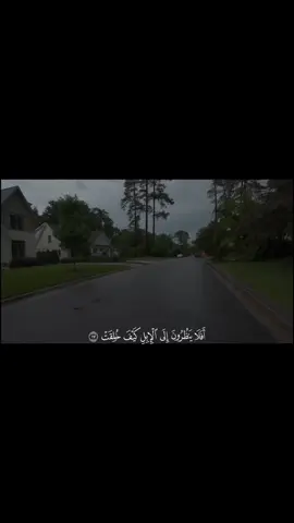 #تلاوة_خاشعة #تلاوات #تلاوة 