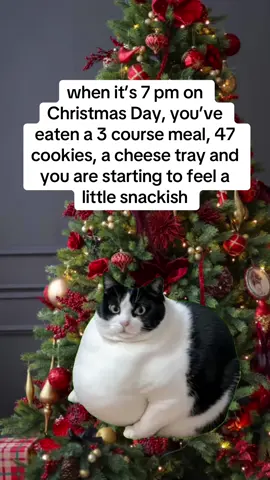 #MemeCut #Meme #MemeCut 