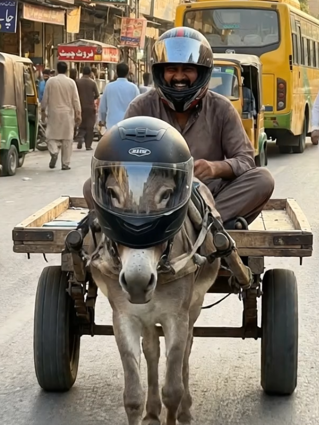 Ye Nara Bada Peyara He #lahore #cmpunjab #helmat #tiktok #foryoupage 