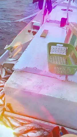 Haikal ji #ABKCahayadunia#pelauthandal #pelautindonesia🇲🇨🇲🇨 #pelautmuda #pelautpunyacerita 