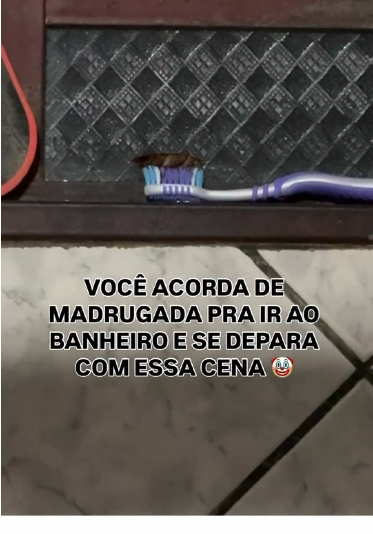 #fyi #fyppppppppppppppppppppppp 