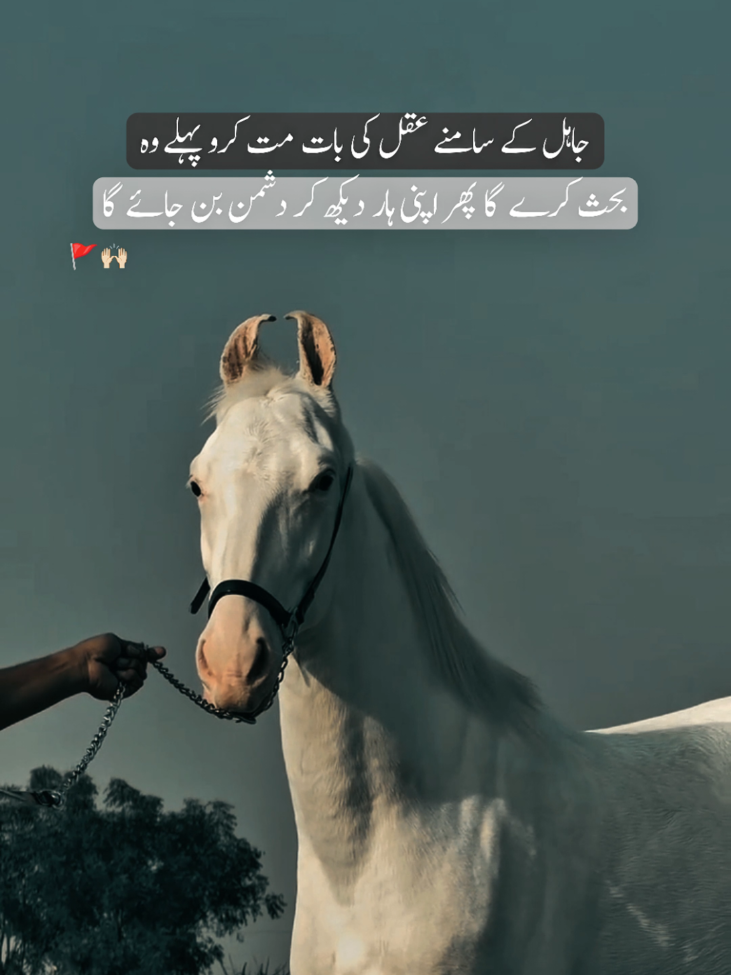 Bilkul 🚩🙌🏻 #poetry #horse #poetrylines #viralvideo #poetrystatus 