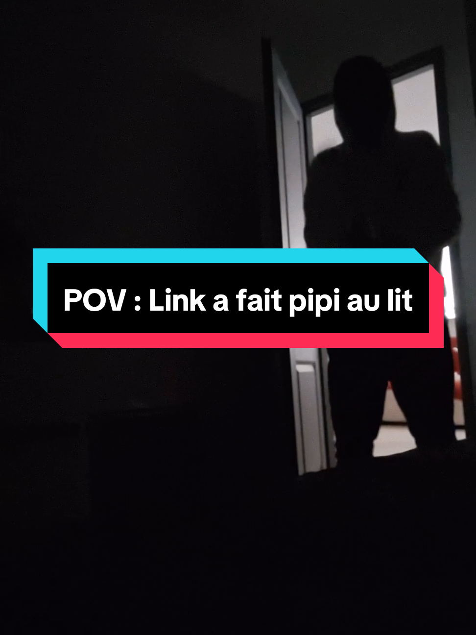 Je m'en remets toujours pas comment j'ai tout casser chez moi mdrr ... #trend #pov #humour #link #zelda 