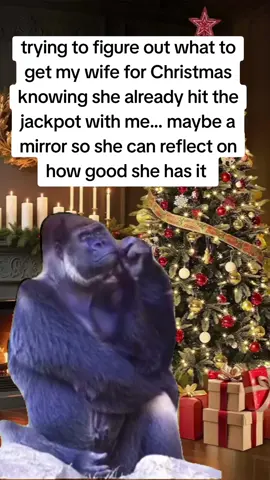 #fyp #christmas #meme #following #funny 