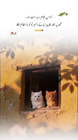 #trending #fypシ゚ #viral 