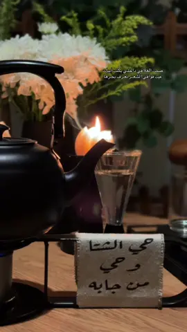 طواريك مثل طواري الشتاء مالها إلا المرحبا  #تصويري #ذوقي_عالم_من_اختياري 