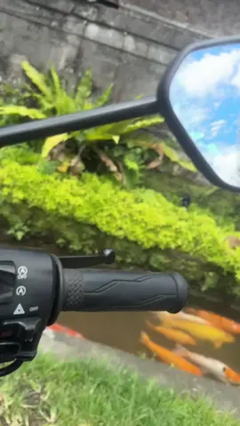 Only in Bali  #bali #indonesia #бали #индонезия 